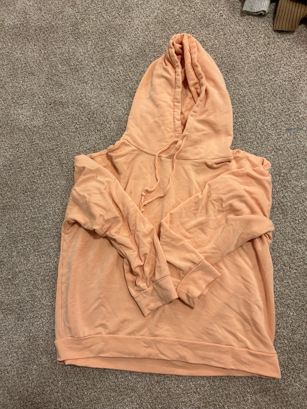 Quince SupersoftFleece Hoodie